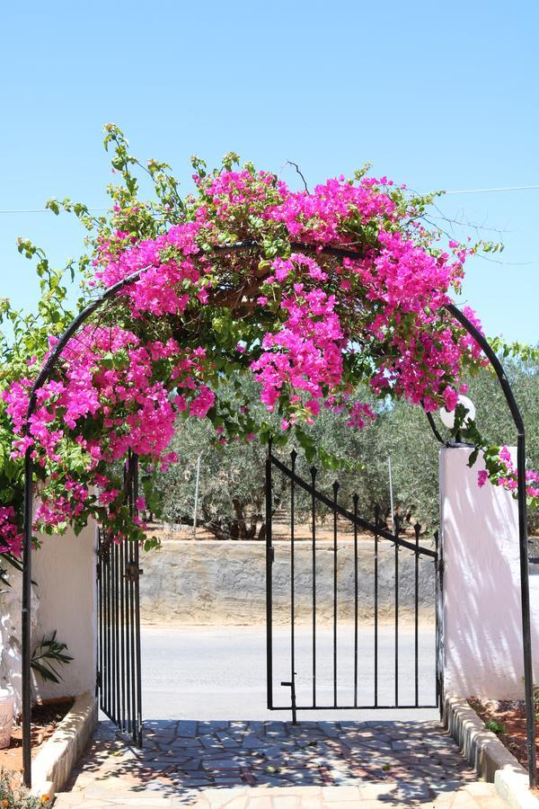 Alex Home Apartments Hersonissos  Bagian luar foto